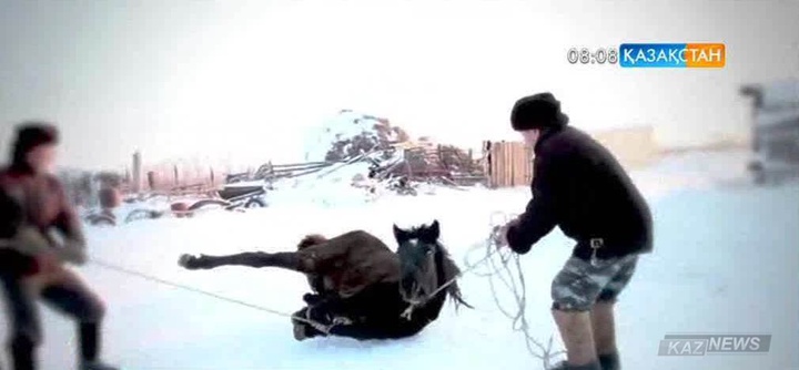 Елімізде соғым сою маусымы басталып кетті
