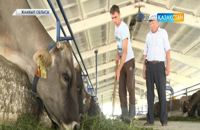 Жамбыл облысы Қордай ауданындағы Қақпатас ауылы - ел Тәуелсіздігімен бірге түлеген елді мекен