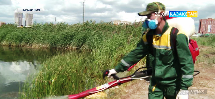 «Зика» безгегі әлемнің көптеген елдеріне таралуда