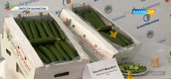 Жылыжайда өсірілген көкөніс бағасының негізсіз өсуіне не себеп?