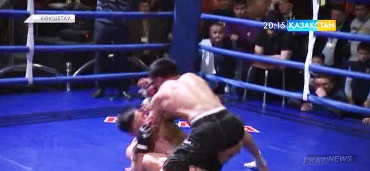 Көкшетауда жекпе-жектің бірнеше түрінен жарыс өтті