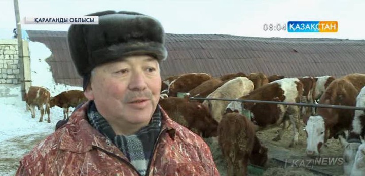 Қарағанды облысының Бесоба ауылында сүт фермасы ашылды