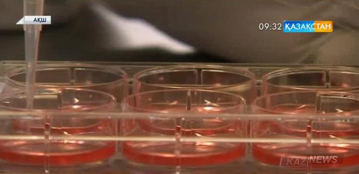 АҚШ ғалымдары қан рагы немесе лейкемияны емдеудің тиімді тәсілін ойлап тапты