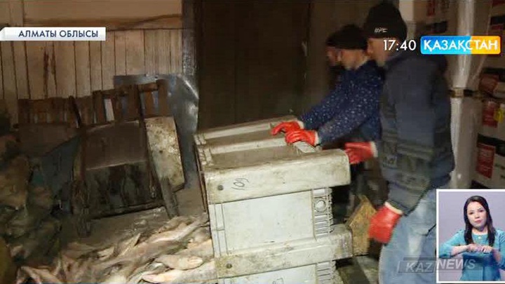 Алматы облысында ірі көлемде заңсыз балық аулағандар ұсталды