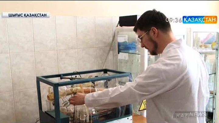 ШҚО - да ғылым мен өндірісті біріктіру жұмыстары жанданды