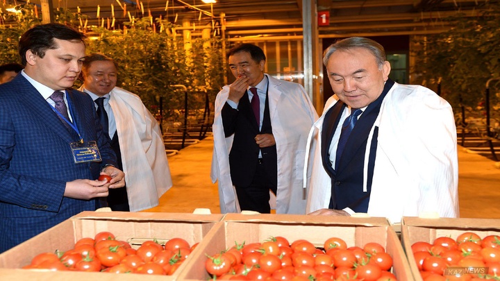 Президент Ақтөбедегі жылыжай кешенінде болды