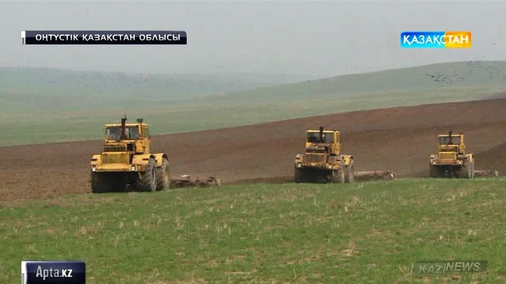 Оңтүстіктің бағбандары бақшаларын баптауға кірісті