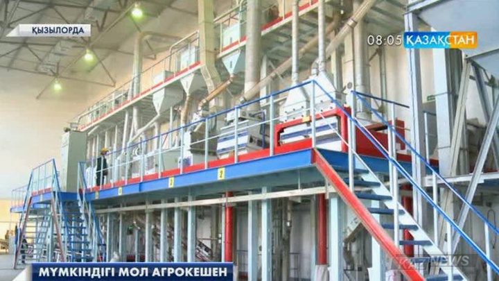 Қызылорда өңірінде күріштің ұнынан макарон өнімдері өндірілмек