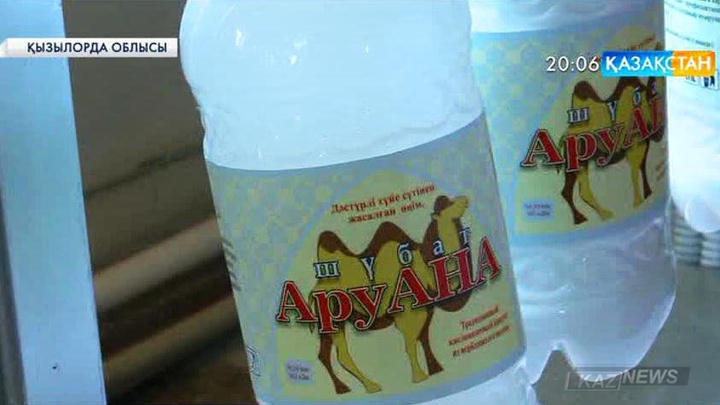 Қызылорда облысында еліміз бойынша ең құнарлы түйе сүтін өңдейтін цех ашылды