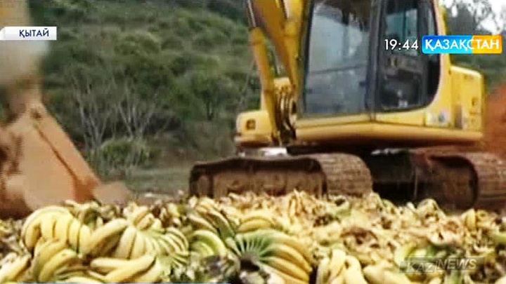 Қытайдың кеден қызметі елге Филиппиннен әкелінген 35 тонна бананды жойды