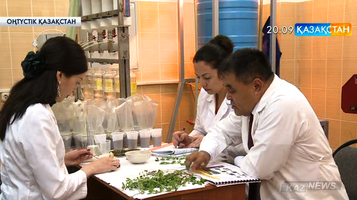 Оңтүстікқазақстандық ғалымдар мал азығы дақылдарының тұқымын  өңдеудің жаңа әдісін ойлап тапты