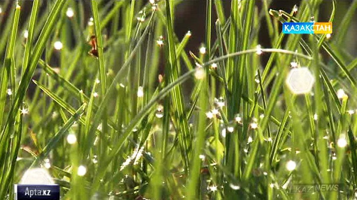 Табиғаттың тамаша тылсымы (БЕЙНЕБАЯН)