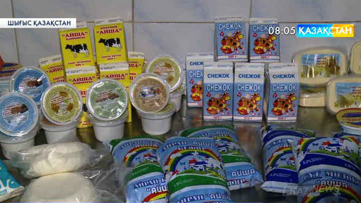 Шығыс Қазақстандағы Бесқарағай ауданында  сүт өндіретін  шаруашылықтар жұмысы жанданып келеді