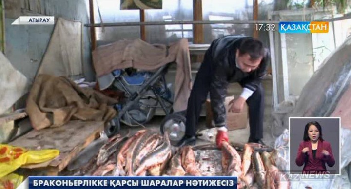 Атырау облысында браконьерлерге қарсы іс-қимыл нәтижесін бермей отыр