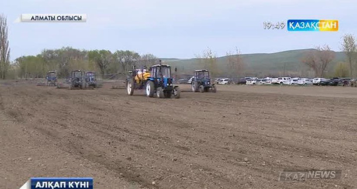 Алматы облысында қант қызылшасы тұқымын себу жұмыстары басталды