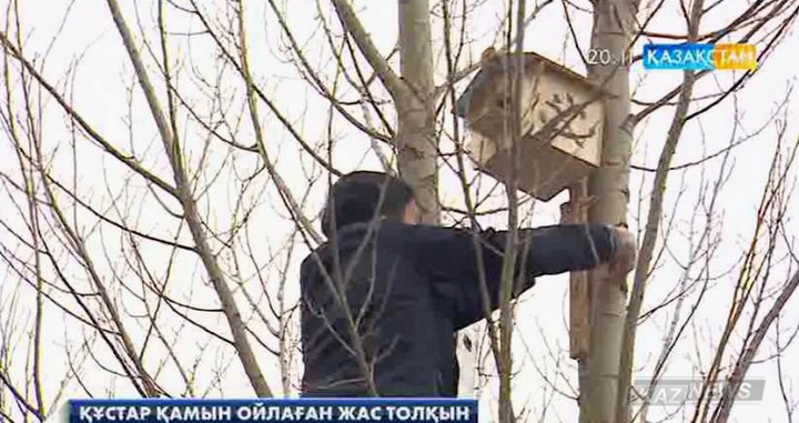 Астанадағы №58 мектеп – гимназиясының оқушылары жыл құстарына ұя жасап,  қамқорлық көрсетуде