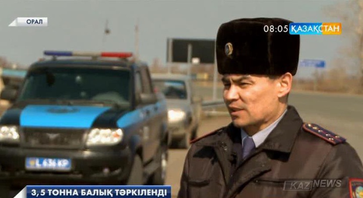 Батыс Қазақстан облысында «Бекіре» акциясы басталғалы  3,5 тонна балық тәркіленген