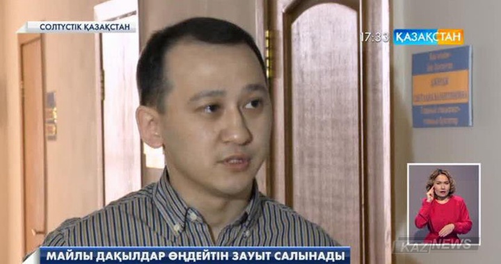 Солтүстік Қазақстан облысында майлы дақылдар өңдейтін зауыт салынады