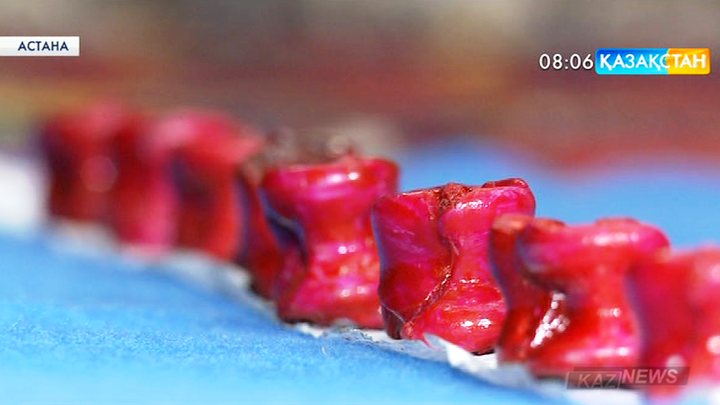 Асық атудан мектеп оқушылары арасында Астана қаласының ашық чемпионаты басталды