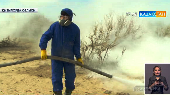 Сыр өңірінде кенеге қарсы 8 мың гектар жер  залалсыздандырылады