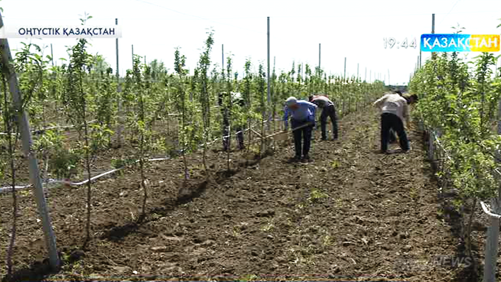 4 миллион гектар жер мемлекет меншігіне қайтарылды