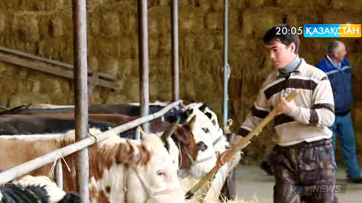 Қазақстанның Тәуелсіздік жылдары ауыл шаруашылығы саласында жеткен жетістіктері