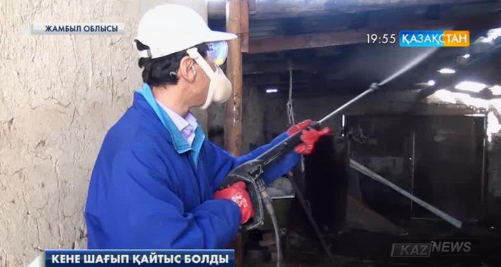 Жамбыл облысының 40 жастағы тұрғынын кене шағып, қайтыс болды