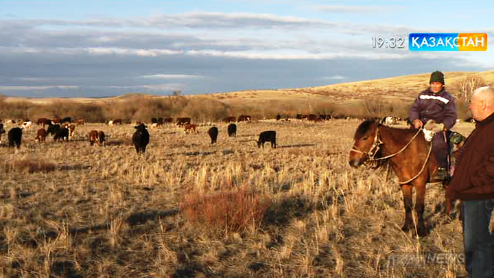 Қарағанды облысында игерілмей жатқан ауылшаруашылық жерлері мақсатты пайдаланыла бастады