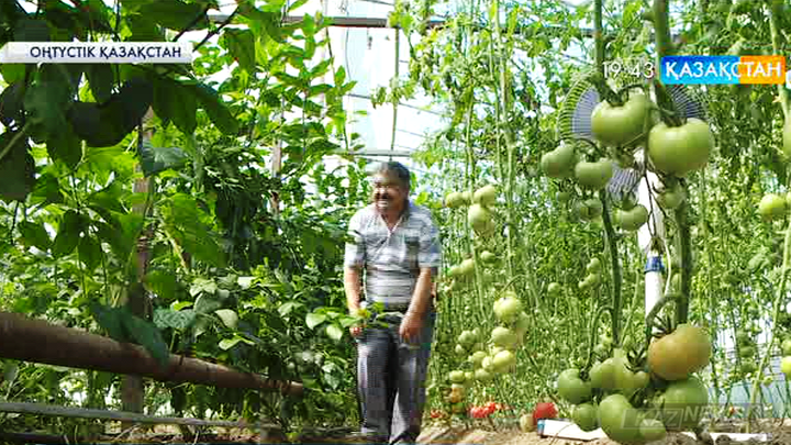 Мемлекеттен көмек алып жұмысын жандандырған шаруалар қатары жыл сайын көбейіп келеді