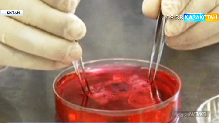 Қытай ғалымдары ғарышта тышқанның эмбриондарын өсірді