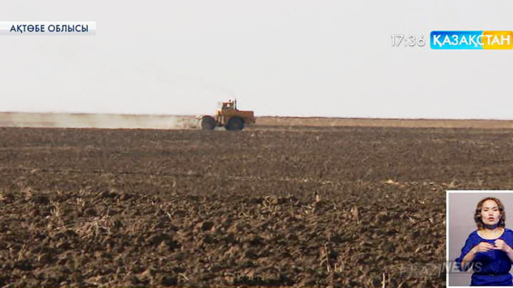 Ақтөбе облысында ауыл шаруашылығымен  айналысамын дегендердің қатары артып келеді