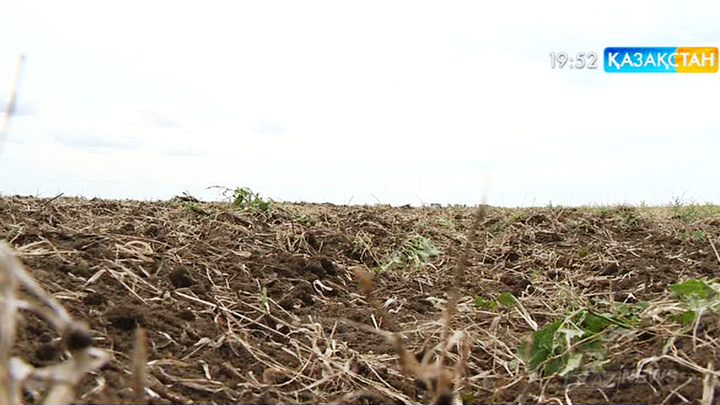 Елдігіміздің негізі – жер