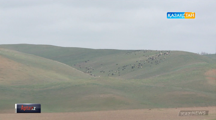 Жерді жеке меншікке сату, жалға беру тәртібі қызу талқыланып жатқан тақырыпқа айналды