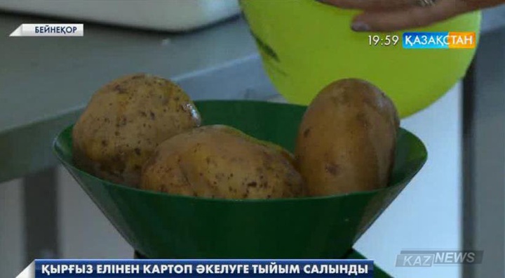 Қырғыз елінен келетін картопқа тыйым салынды