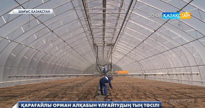 ШҚО-дағы Қарамырза ауылында Орталық Азияда теңдесі жоқ орман тұқымы кешені ашылды