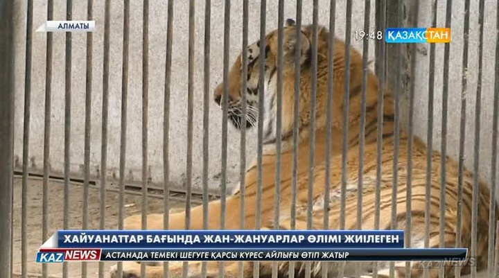 Алматының хайуанаттар бағында соңғы 5 жылда 600-ге жуық жануар өлген