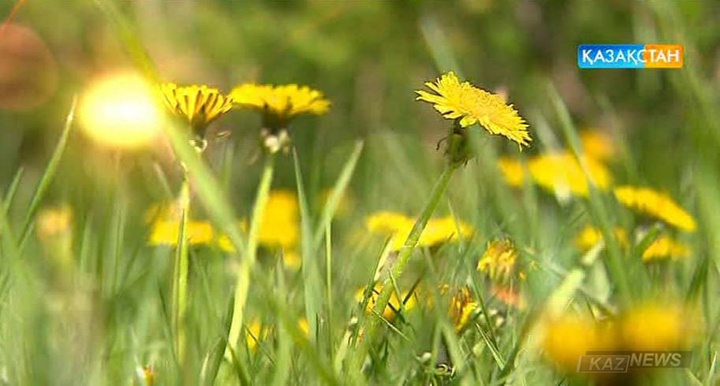 Көктемнің көріністері (БЕЙНЕБАЯН)