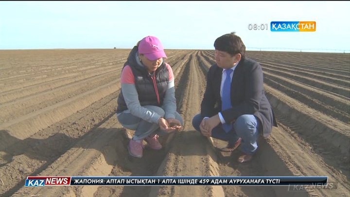 Павлодар облысында игерілмей жатқан 4 миллион гектардан астам алқап бар