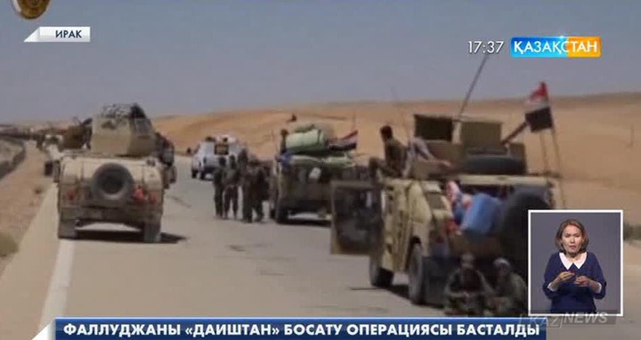 Иракта Фаллуджа қаласын «Даиш» экстремистік тобынан  босату операциясы басталды