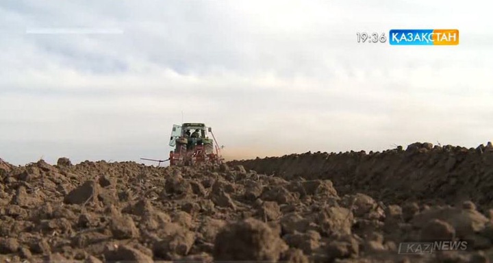 Павлодарда  4 млн гектар алқап игерілмей жатыр
