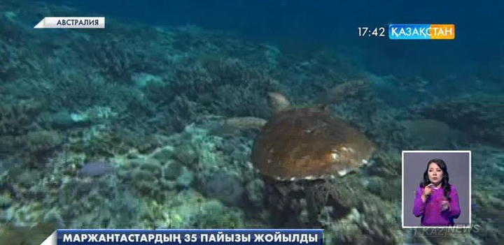 Австралия жағалауындағы маржантастардың 35 пайызы жойылды