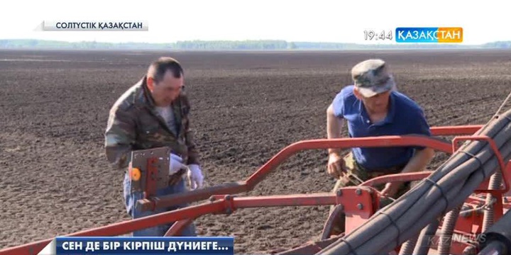 Журналист мамандығын өзгертеді: Диқанның бір күні
