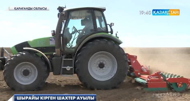 Қарағанды облысындағы «Шахтер» шаруа қожалығы ноқат егіп, өнімді экспорттауды бастады