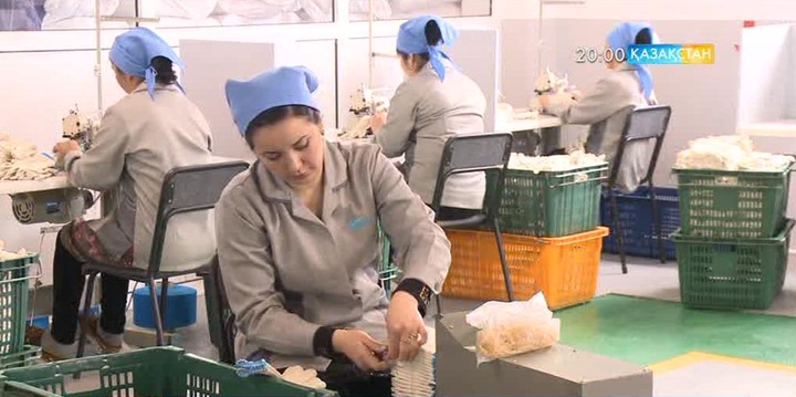 Бірыңғай жинақтаушы зейнетақы қорының қаражаты бизнеске ІІ деңгейлі банктер арқылы несие түрінде ұсынылатын болады