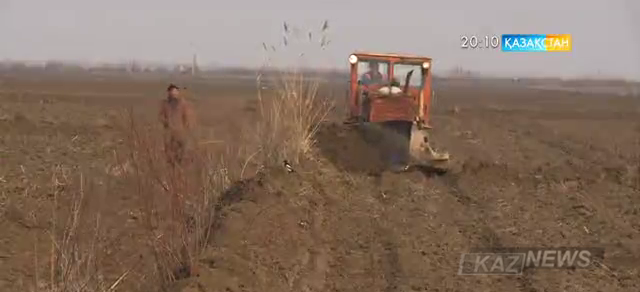 Оңтүстік Қазақстан облысындағы Мақтаарал ауданының шаруалары субсидия қаржысын ала алмай жүр