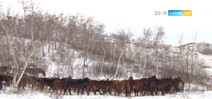 Субсидиялау тәртібі өзгертіледі