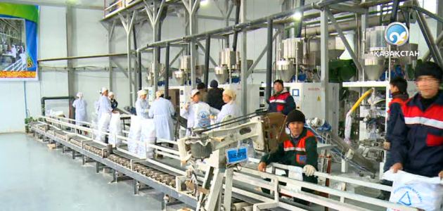 Арал тұзының экспорттық әлеуеті артуда 