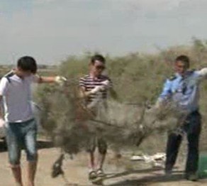 Су қоймаларынан 230 тонна қоқыс шығарылды