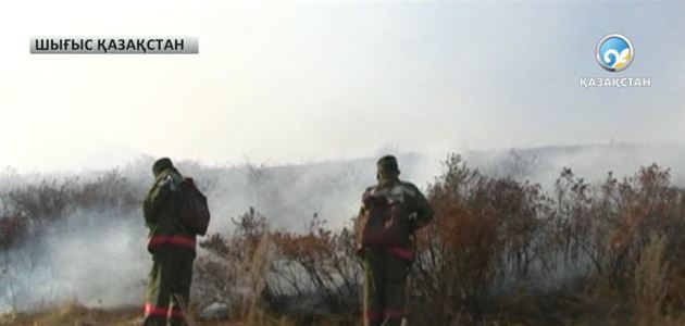 Шығыс Қазақстан облысында жыл басынан бері 70 орман өрті тіркелді 