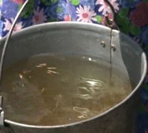 Қостанай облысы: Дружба ауылының тұрғындары таза суға зәру 